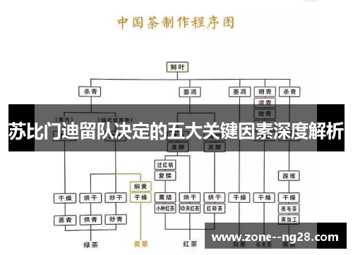苏比门迪留队决定的五大关键因素深度解析