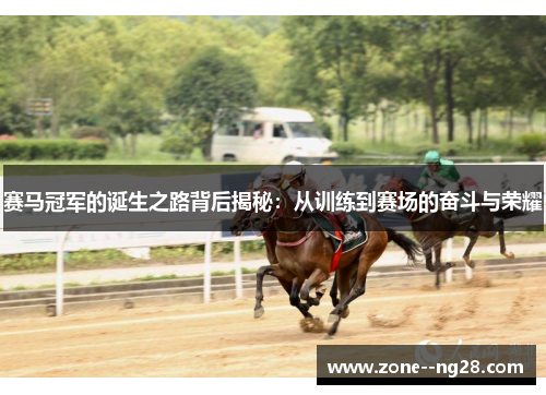 赛马冠军的诞生之路背后揭秘：从训练到赛场的奋斗与荣耀